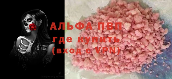 сатива Аркадак