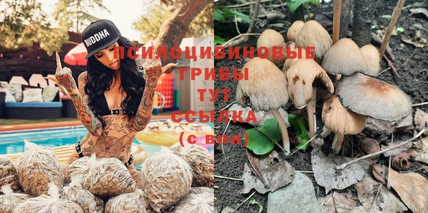 МДПВ Арсеньев