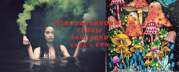 МДПВ Арсеньев