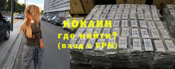 сатива Аркадак
