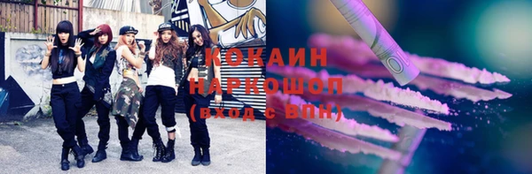 сатива Аркадак