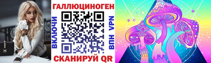 купить  сайты  Медынь  Галлюциногенные грибы ЛСД 